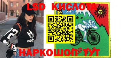 PSILOCYBIN Будённовск