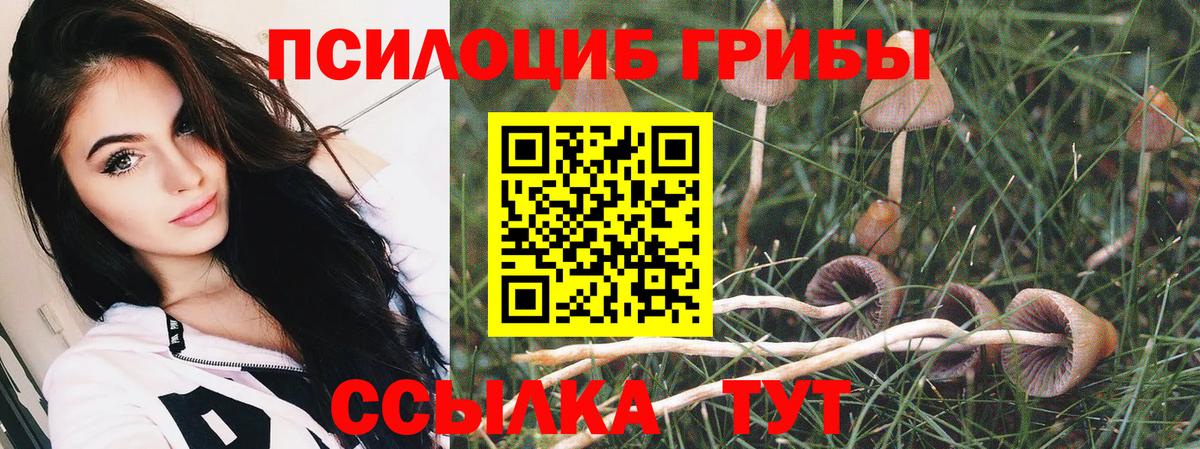 Галлюциногенные грибы Magic Shrooms Черногорск